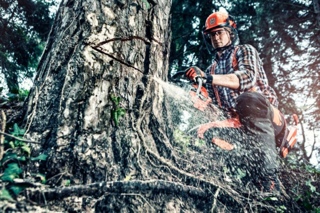 Бензопила HUSQVARNA 560 XP 9672883-15