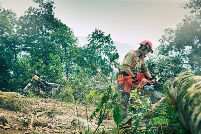 Бензопила HUSQVARNA 562 XP 9665702-18