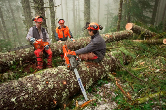 Бензопила HUSQVARNA 562 XP 9665702-18