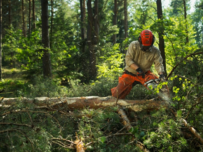 Бензопила HUSQVARNA 562 XP 9665702-18