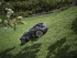 Husqvarna Automower 435X Газонокосилка-робот AWD 9678533-11