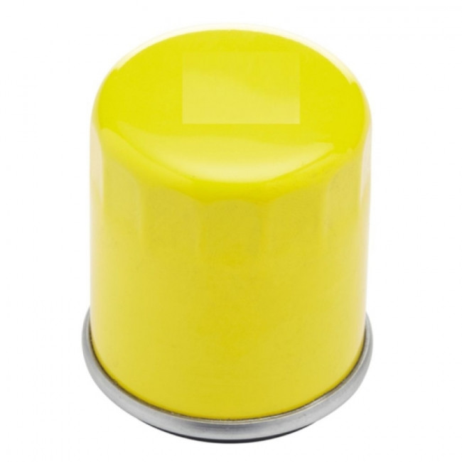 Фильтр масляный BRIGGS & STRATTON 798576