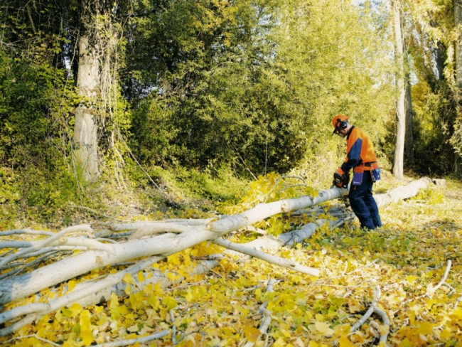 HUSQVARNA 435 Бензопила 9671554-45 / 9676758-35