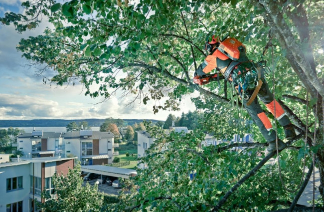 HUSQVARNA 436 Li-12" Аккумуляторная цепная пила 9667290-12