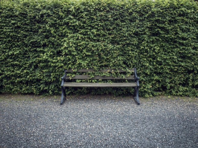 Бензоножницы HUSQVARNA 522HDR75S 9676586-02