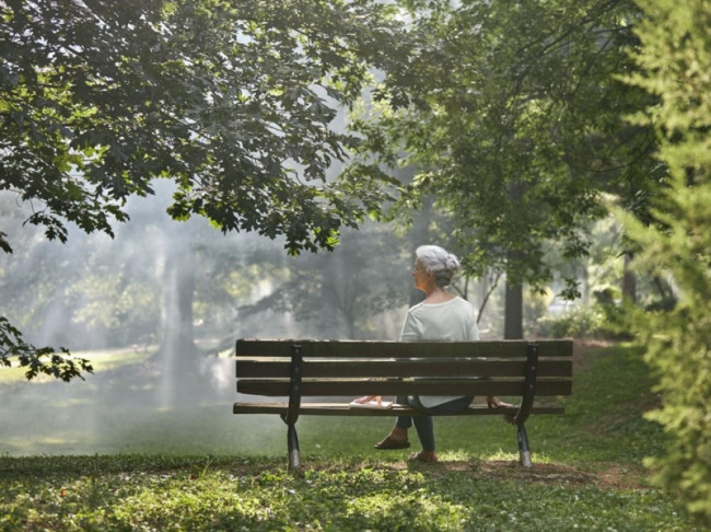 Скарификатор-аэратор электрический HUSQVARNA S 138C 9679223-01