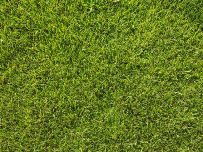 Скарификатор-аэратор электрический HUSQVARNA S 138C 9679223-01